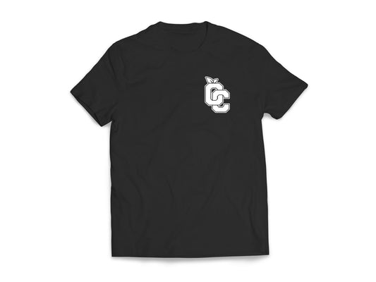 Varisty Mini Jersey logo